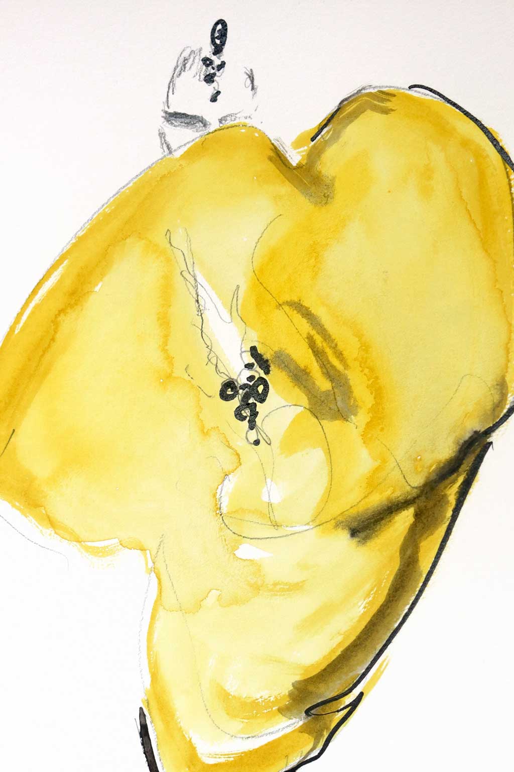 Illustration Nº 11 - Imagen 2