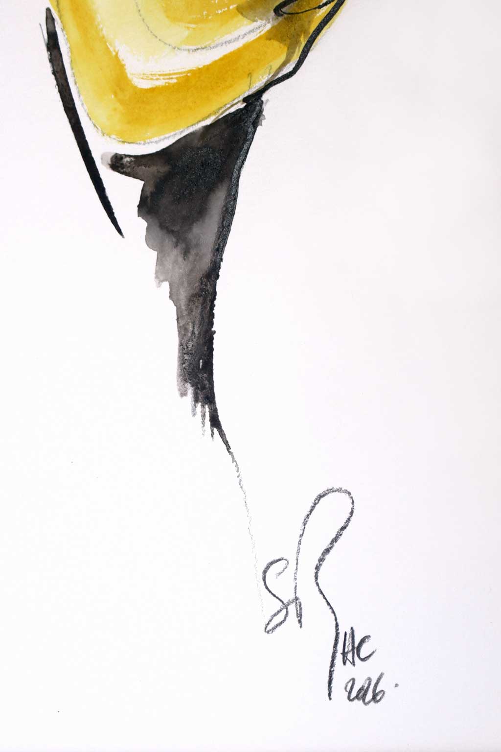 Illustration Nº 11 - Imagen 3