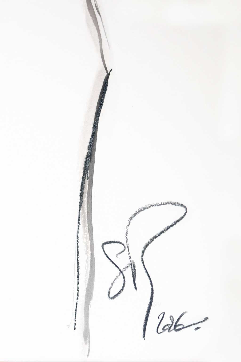 Illustration Nº 16 - Imagen 3